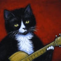 TomCat Guitar Repair
