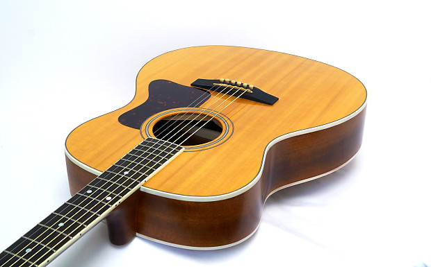 Gibson clearance csm acoustic