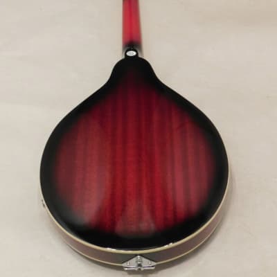 Savannah Acoustic Electric Mandolin image 2