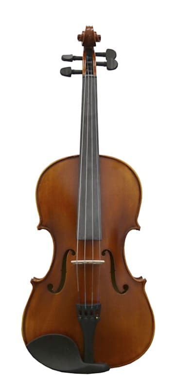 1/2 Size Student Violin Ensemble - Matte Finish image 1