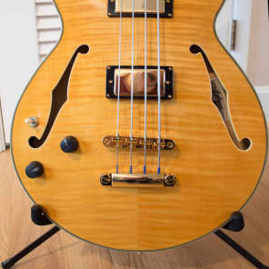 Left-handed D'Angelico EX-SS/bass image 6