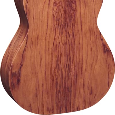 Ortega Traditional Series Cedar Top Nylon String Acoustic Guitar R180 image 3