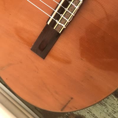 1970s Angelica Model 531 Classical Guitar - Japan - Set Up - Nice image 9