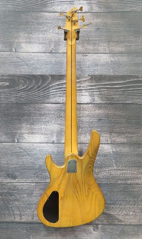Washburn Bantam XB925 5 String Bass Guitar (Cleveland, OH