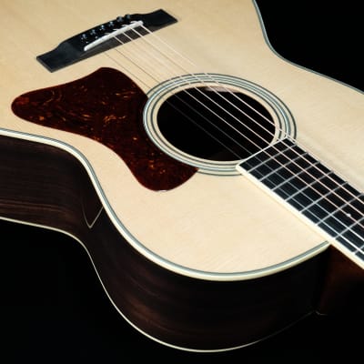 Collings C100 Deluxe G, German Spruce Top, Indian Rosewood - VIDEO image 13