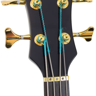 Alembic Darling Bass Shortscale Black Blue LED image 5