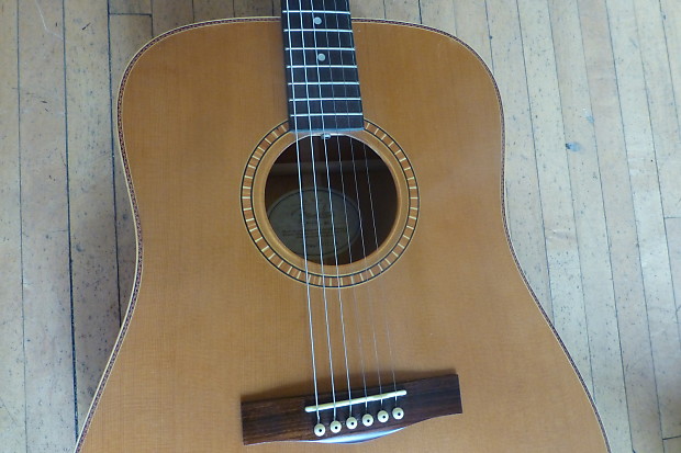 Fender DG25s Solid Cedar Top Acoustic Guitar - w/ Case | Reverb