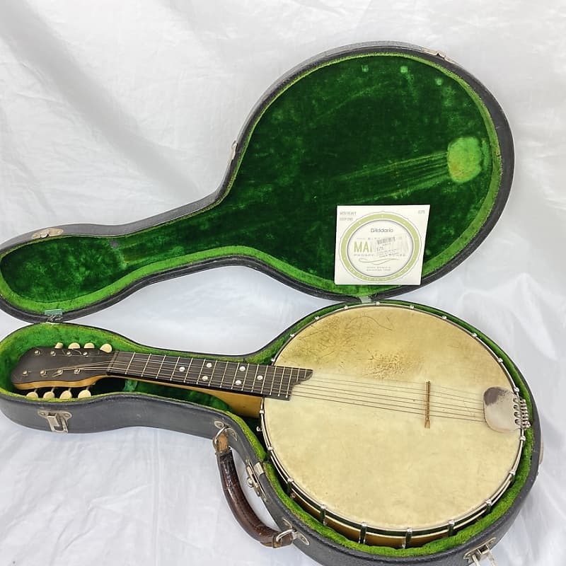 Vintage SS Stewart The Student 8 String Mandobanjo Mando | Reverb