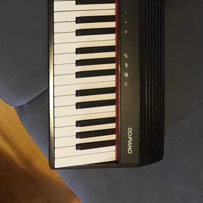 Roland GO-61P GO:PIANO 61-Key Digital Piano image 2