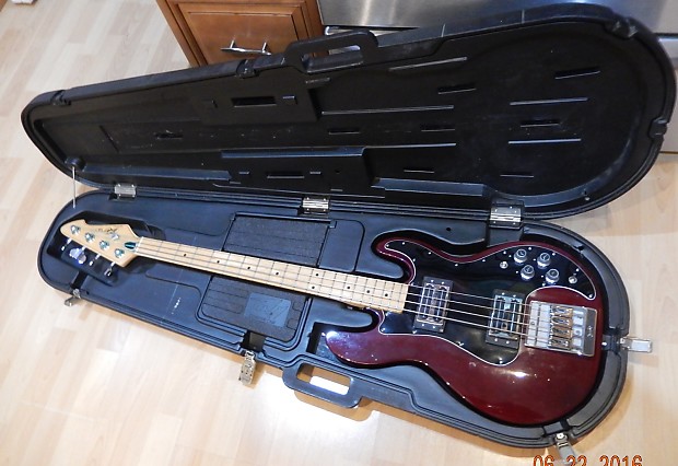 CASE ONLY Peavey T 40 Contour Bass Case Clamshell Hard Case