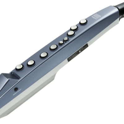 Roland AE-01 Aerophone Mini Digital Wind Instrument image 1