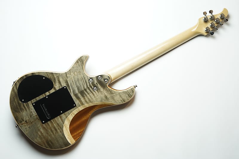 *Handmade in Japan* Nishgaki Guitars Amnis Novus Suiboku