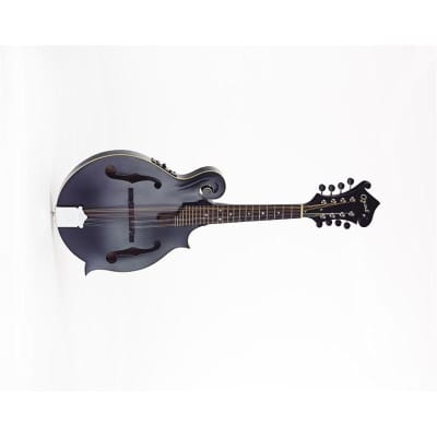 Ozark 2355 F Model Electro Mandolin, Black for sale