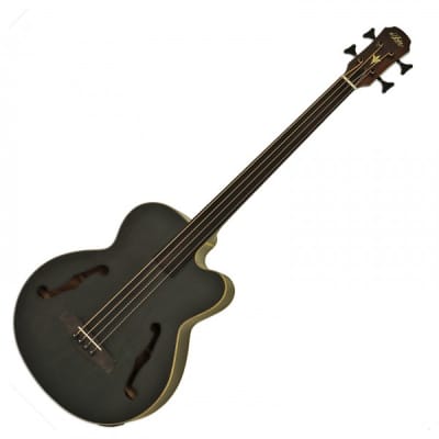 Aria - FEB F2M - Electro Acoustic Bass Guitar for sale