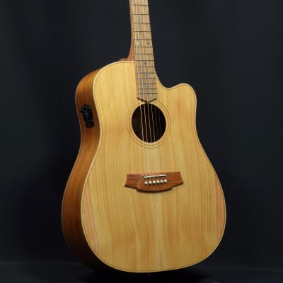 Cole Clark FL Dreadnought CCFL2EC-BB Bunya Top Blackwood Back and