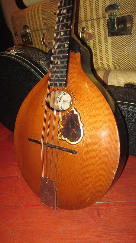 Gibson Octave Mandolin 1904, Natural