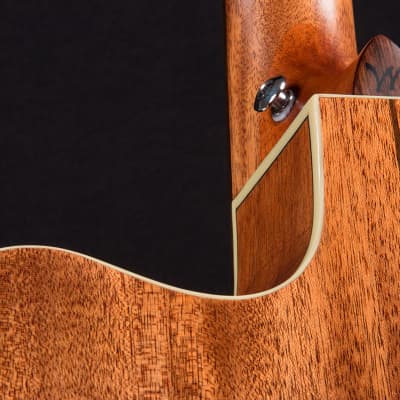 Washburn HD100SWCEK Heritage 100 Series Solid Wood Spruce Mahogany Cutaway Acoustic Guitar w/Case image 6