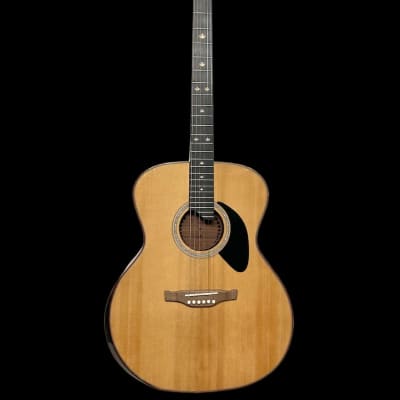 Riversong Folker (P555-A) Acoustic Guitar image 1