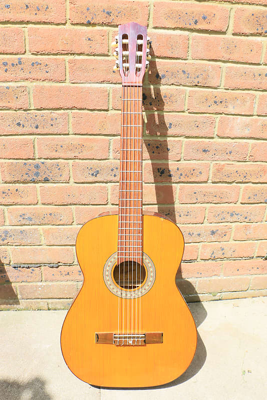 Angelica shop acoustic guitar