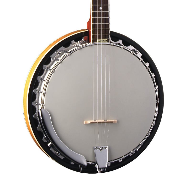 Washburn Americana B9 5-string Resonator Banjo Mahogany