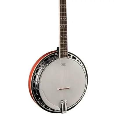 Washburn  B16 Americana Series (5 String Banjo). Tobacco Sunburst image 4