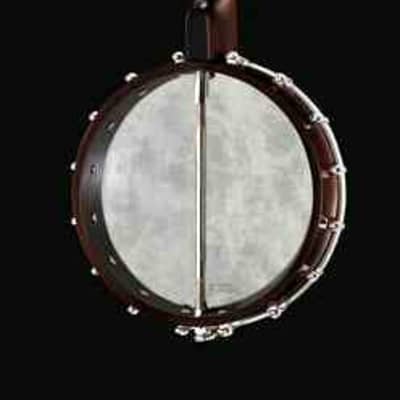 Recording King RKOH-05 Open Back 5-String Banjo. New, with Full Warranty! image 3
