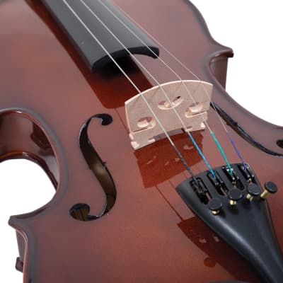 Palatino VN-350 Campus Hand-Carved Violin Outfit with Case and Bow, 1/4 Size image 5