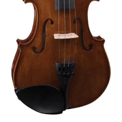 Stentor 1500 Student Series II 4/4 Full Size Violin Outfit Set with Case & Bow image 8