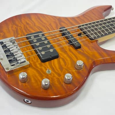 Ibanez RDGR Road Gear RD500 5-String Active Bass Guitar | Reverb