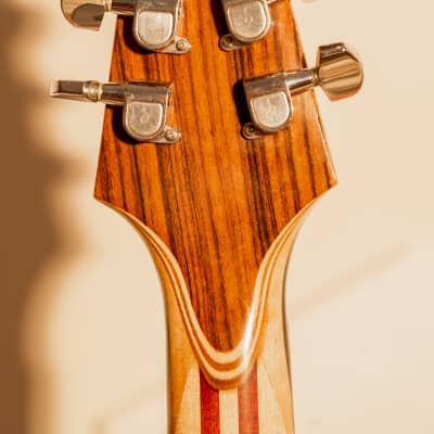 Rick Turner Rick Turner Model 1-C-LB Owned and Used by Lindsey Buckingham with Art Work Burgundy image 6