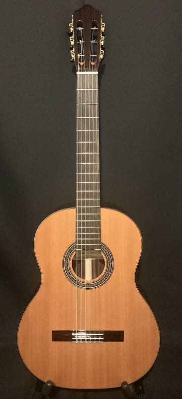 Kenny Hill New World Estudio Classical Guitar, 650mm Cedar/Indian Rosewood 2021 image 1
