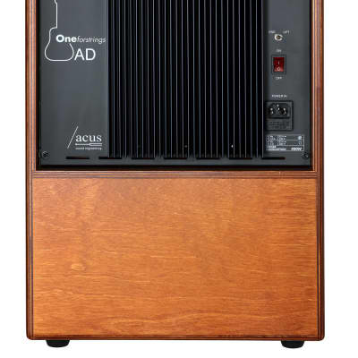 ACUS One forstrings AD Wood Ampli électro acoustique 350W