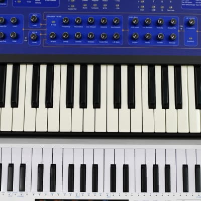 Poly evolver on sale