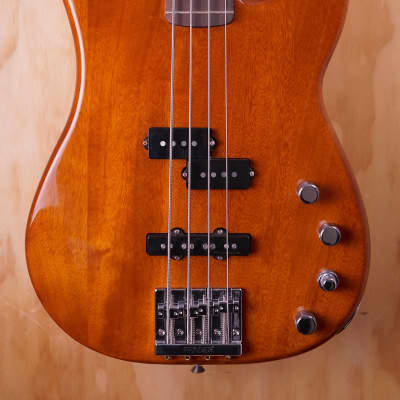FENDER DELUXE P-BASS SPECIAL (MEXICAN MODELS) bass guitars
