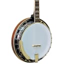Gold Tone PS-250 Professional 4-String Plectrum Banjo PS-250