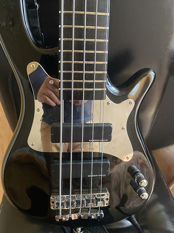 Warwick Steve Bailey 2019 Reverb Warwick Steve Bailey 2019 Reverb
