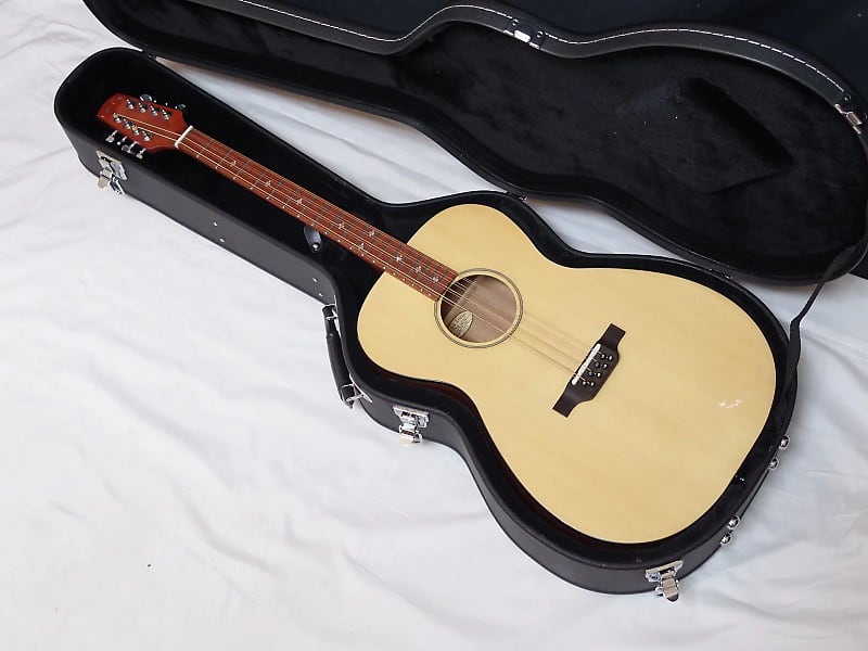 GOLD TONE BZ1000 Irish Bouzouki Mandolin NEW w/ HARD CASE Reverb