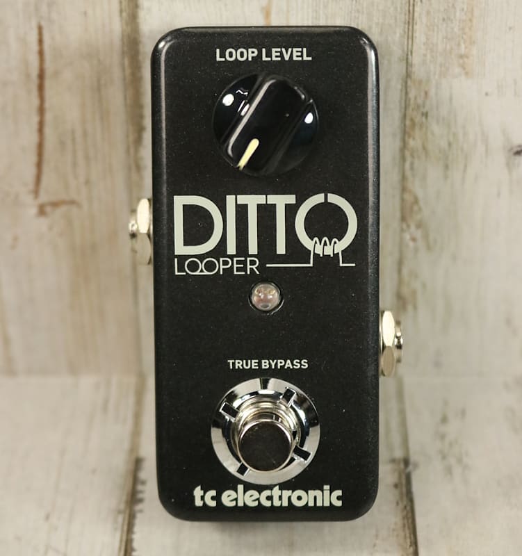 USED TC Electronic Ditto Looper (030) | Reverb Canada