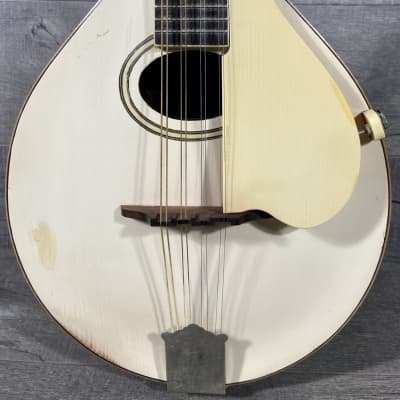 Gibson A-3 Mandolin 1920 - White image 2