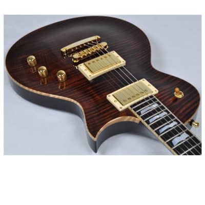 ESP Eclipse 40th Anniversary Guitar in Tiger Eye Finish image 17