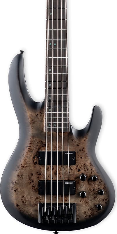 ESP LTD B-5 Ebony 5-String Bass Guitar, Ebony Fingerboard, Charcoal Burst Satin image 1