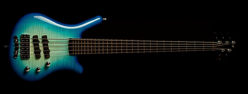 Warwick Thumb Bass Custom Shop Limited 2017 | Reverb