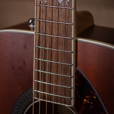 Fender Tim Armstrong Hellcat, Walnut FB, Natural image 6