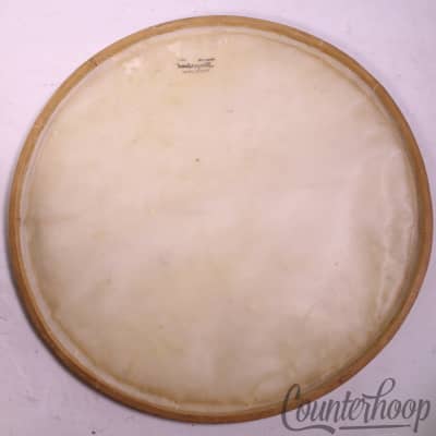 *Slingerland Snare 16" Slunk Calf Skin Parade Drum Resonant Head Vintage 60s USA imagen 3