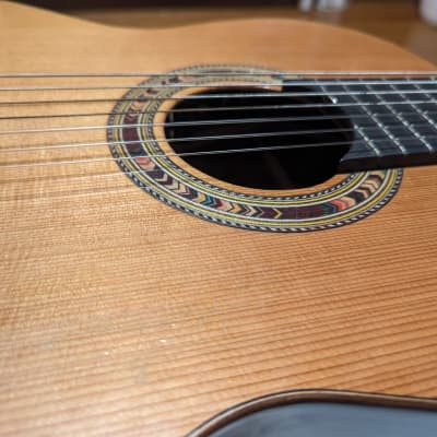 7 String Classical Guitar - Kremona Fiesta F65CW-7S image 4