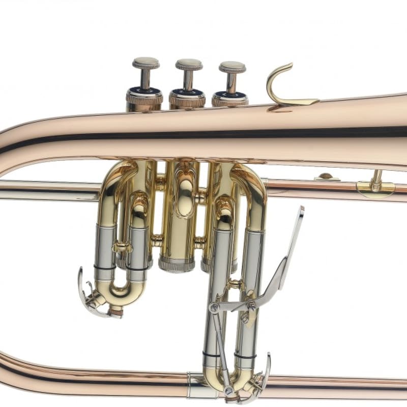 Levante LV-TR6301 Key of Bb Trumpet Bell & Leadpipe in Gold Brass w/Soft  Case & Mouthpiece 7C