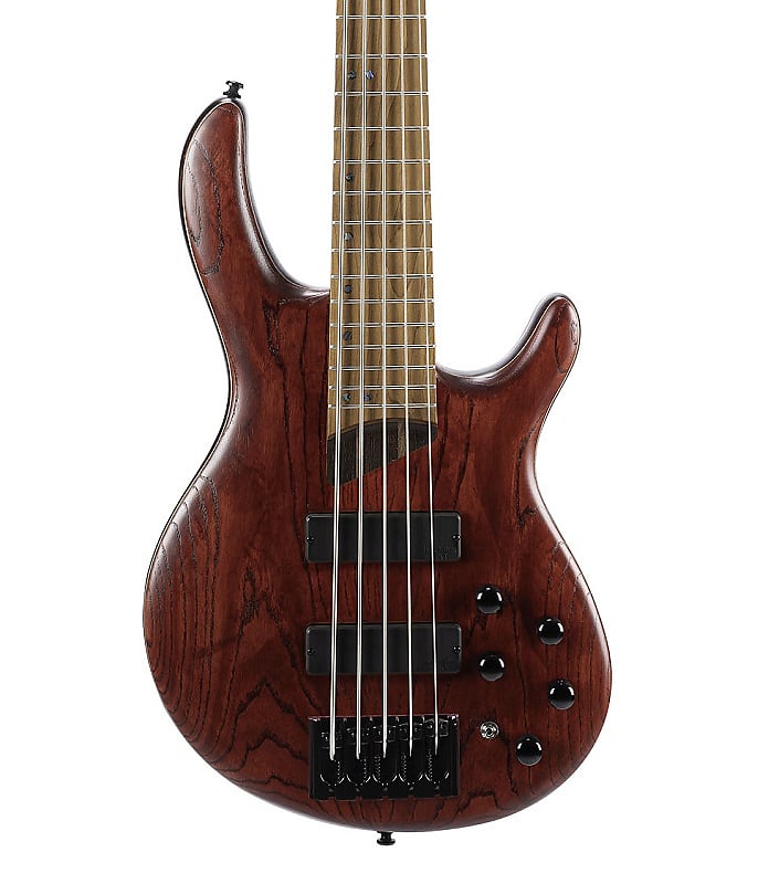 Cort B5ELEMENTOPBR Artisan Series B5 Element 5 String Bass | Reverb