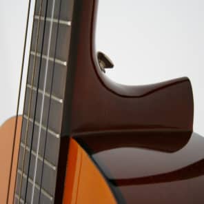 Yamaha C40 Full Size Nylon-String Classical Guitar image 11