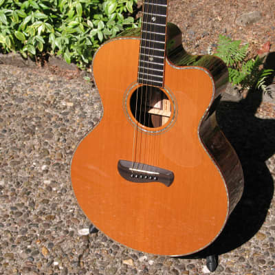 ギター TACOMA PM28 Tacoma PM28 Parlor | zZounds