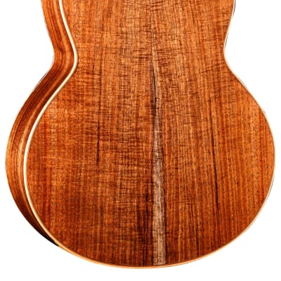 Hsienmo curly redwood tasmanian blackwood guitar with case image 2